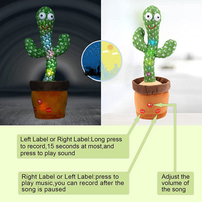 Proactive Baby Dancing Cactus Toy