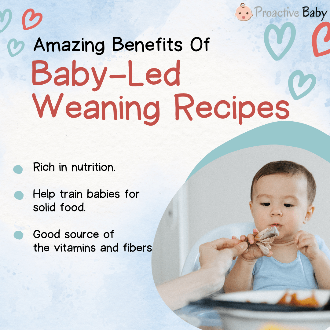 10 Easy and Nutritious Baby-Led Weaning Recipes - Proactive Baby