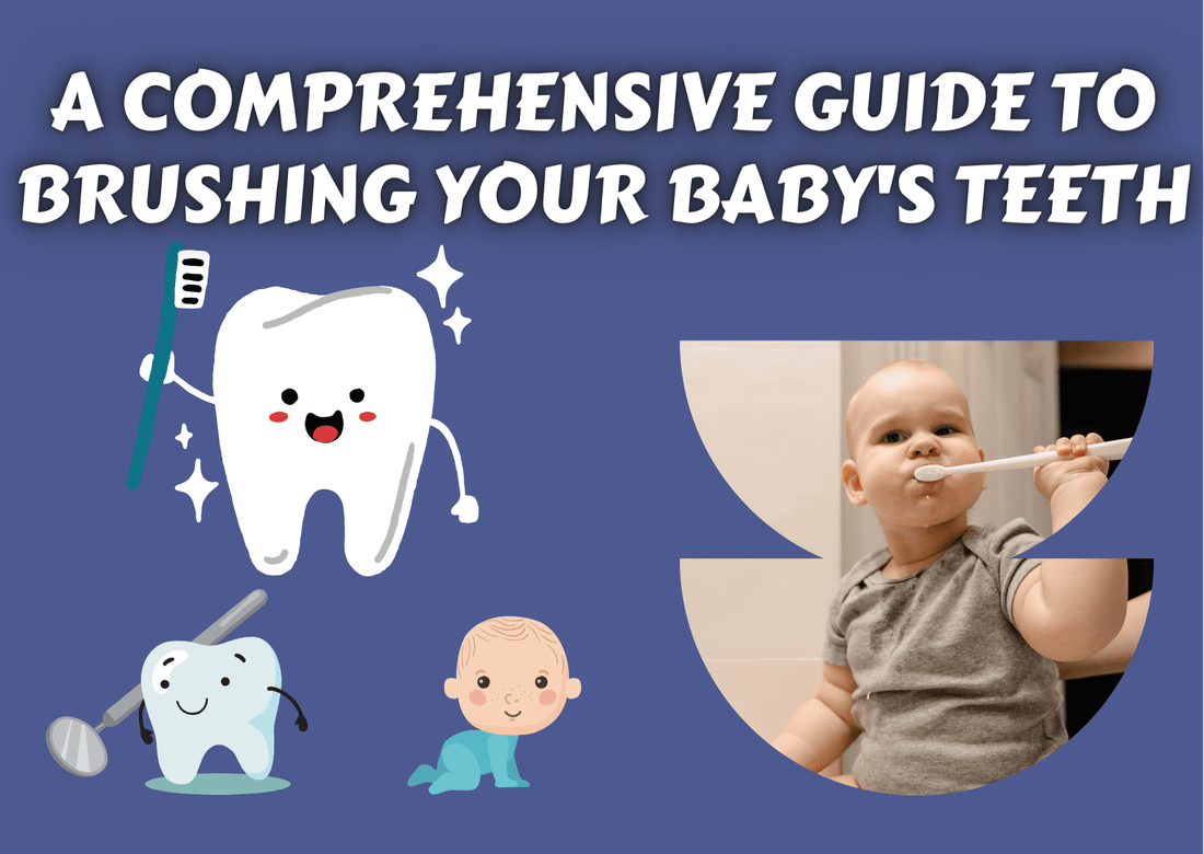 A Comprehensive Guide to Brushing Your Baby's Teeth - Proactive Baby