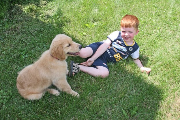 Empowering Children: Tips for Kids to Care for Their Canine Companions