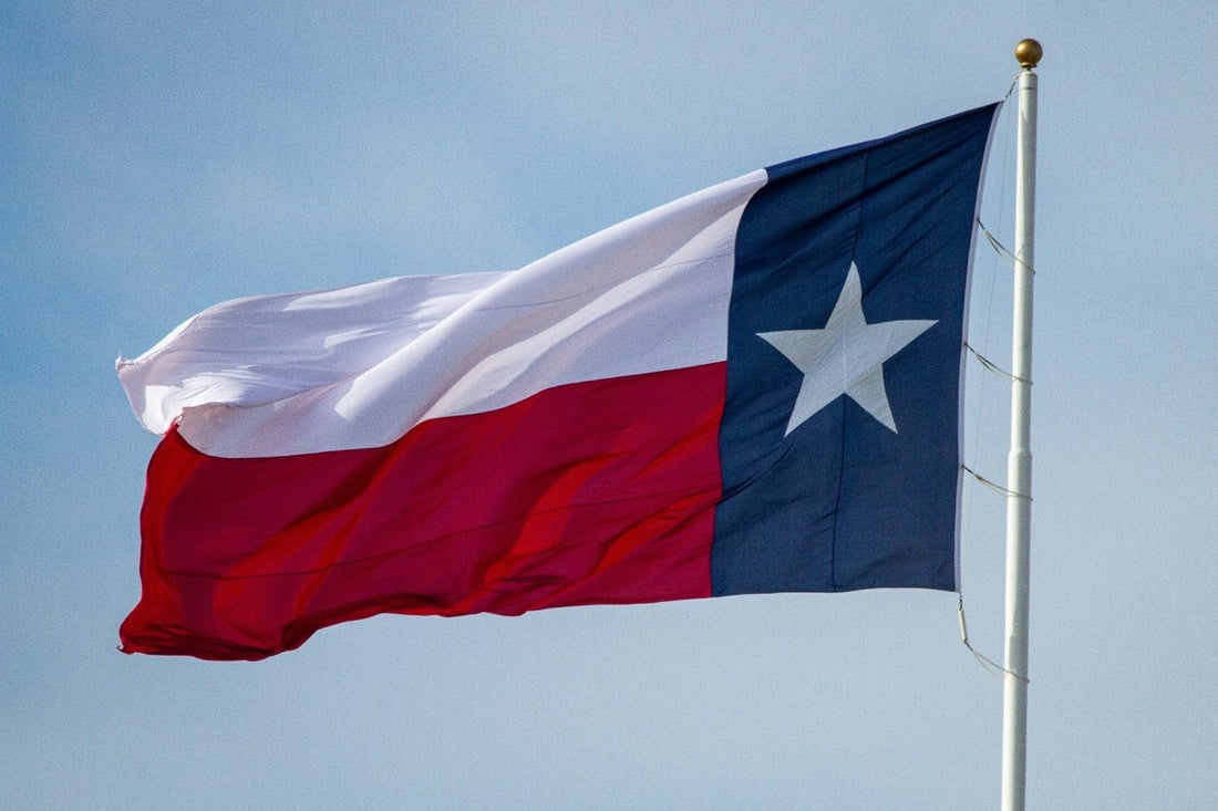 Top Seasonal Activities for Families in Texas - Proactive Baby