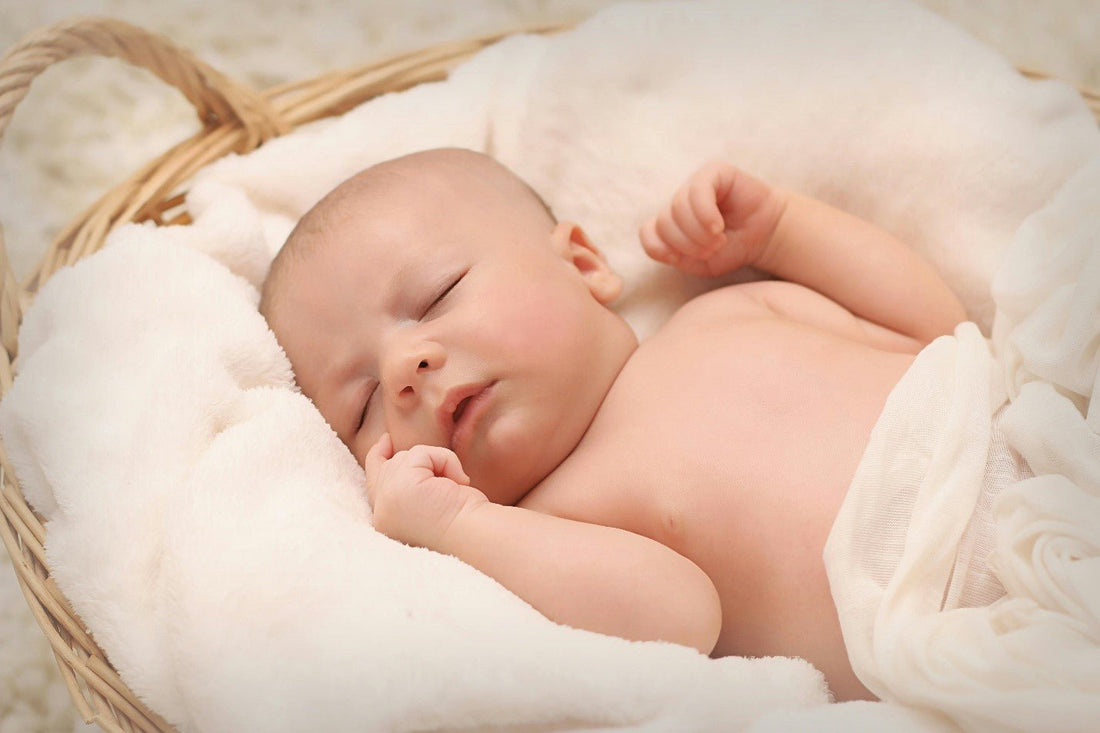 Early Steps to Lifelong Wellness: What Matters Most for Your Baby - Proactive Baby