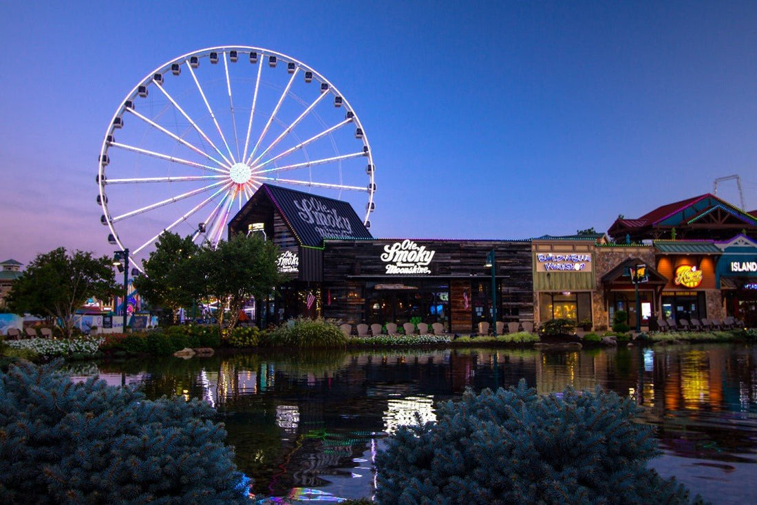 Creating Magical Moments for Families in Pigeon Forge - Proactive Baby