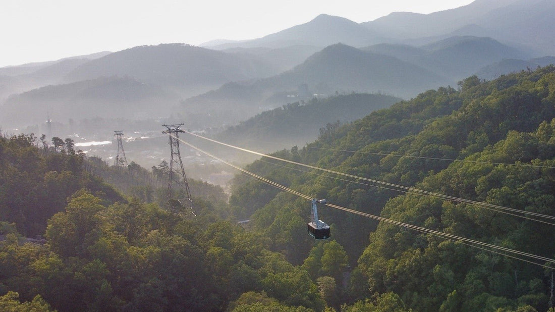 Unpacking the Best Family Picnic Spots in the Smoky Mountains - Proactive Baby