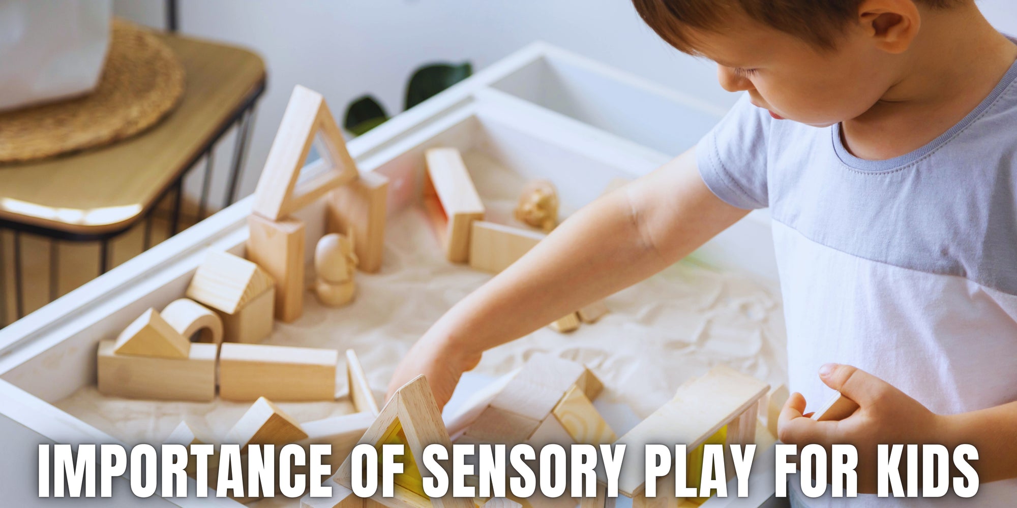 Importance of Sensory Play For Kids