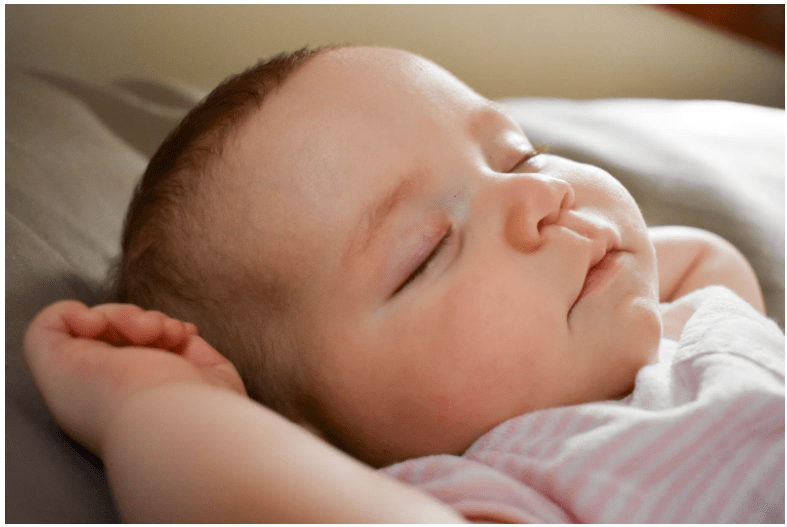 The Battle Against Bed Bugs: Protecting Your Baby's Sleep Space - Proactive Baby