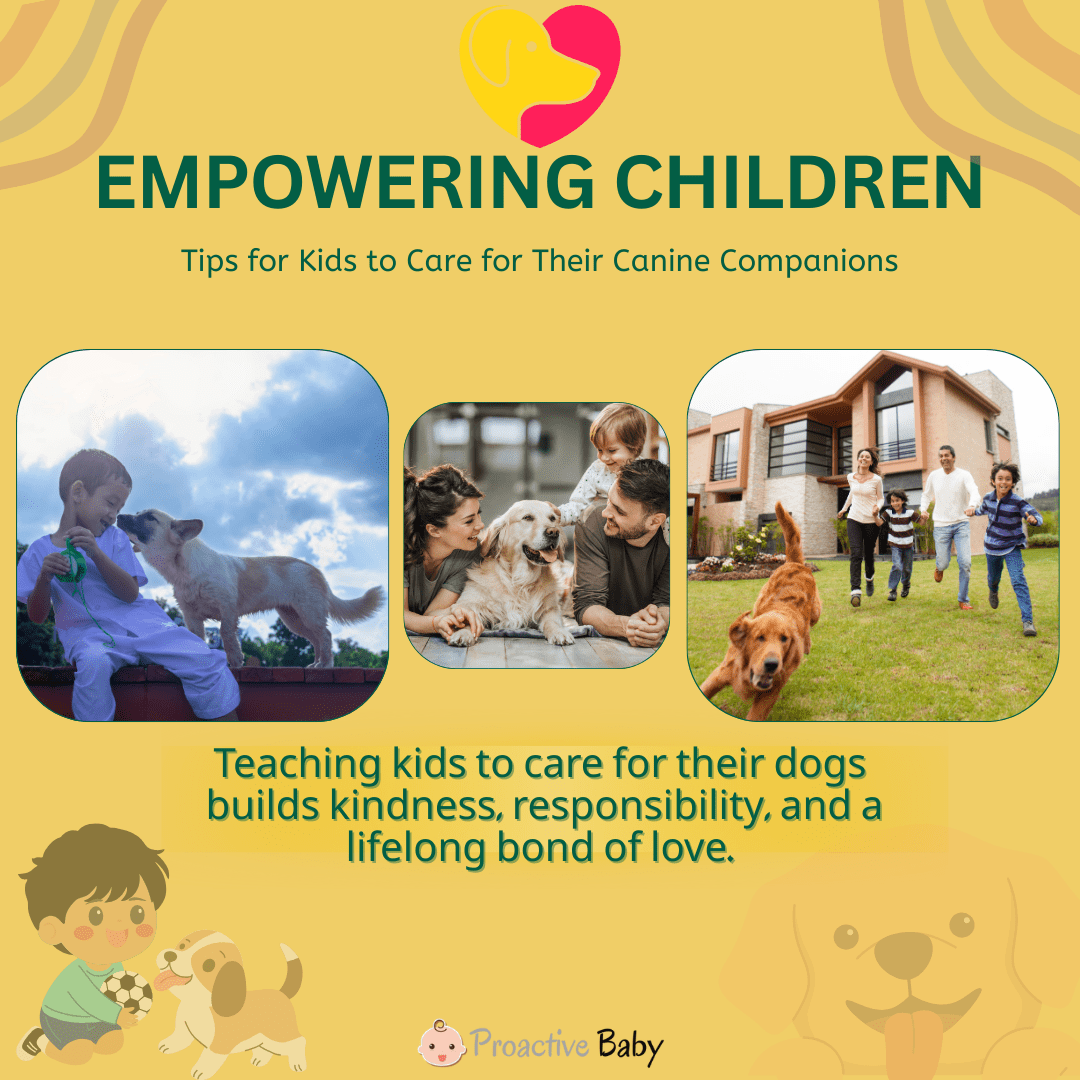 Empowering Children: Tips for Kids to Care for Their Canine Companions - Proactive Baby