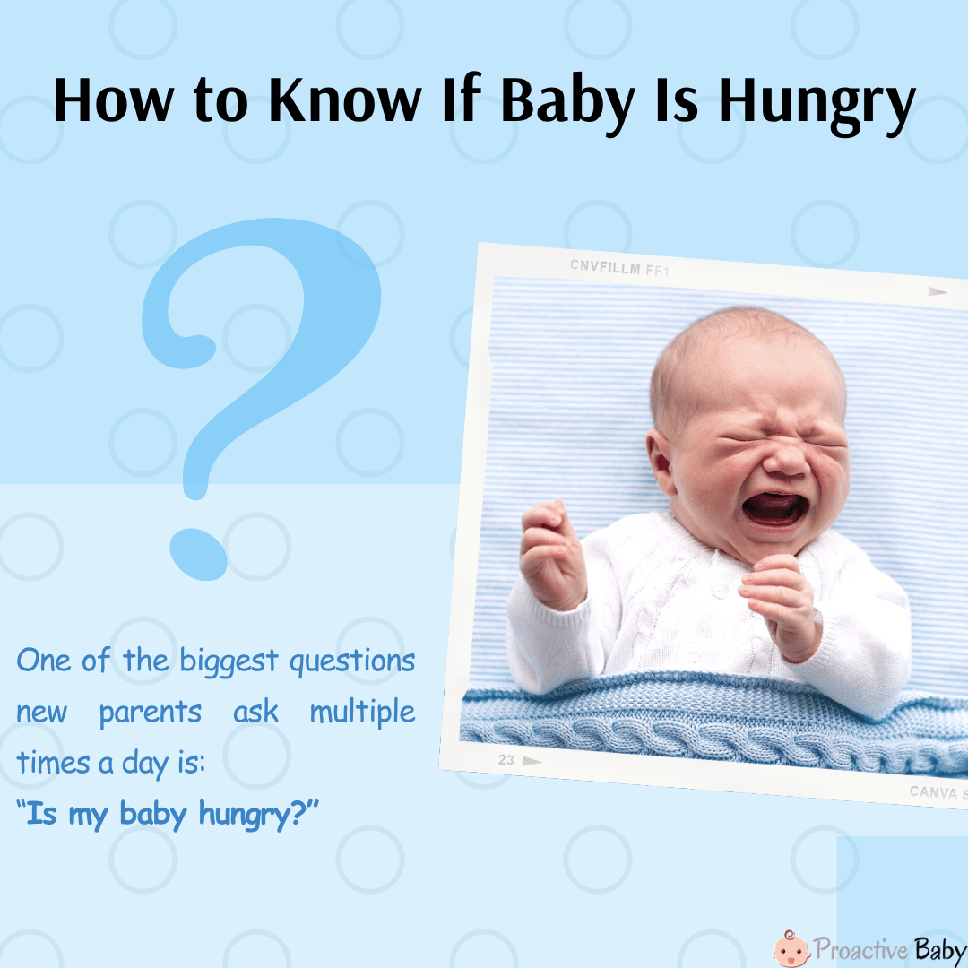 How to Know If Baby Is Hungry: A Caring Mom’s Guide for New Parents - Proactive Baby