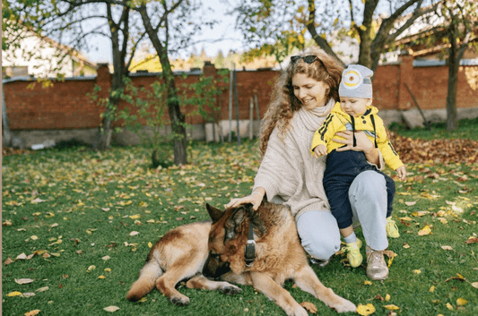 How to Teach Gentle Touch With Pets - Proactive Baby