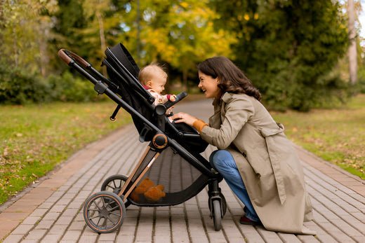 The Ultimate Guide to Choosing the Best Car Seat Stroller Combo for 2024 - Proactive Baby