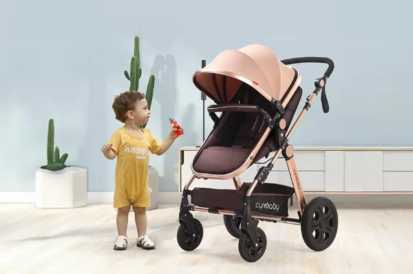 Shop Now and Find the Perfect Baby Stroller