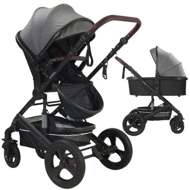 Proactive Baby Cynebaby 2 in 1 Convertible Cradle Stroller